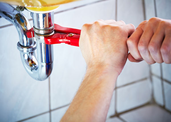 About Leroy Plumbers